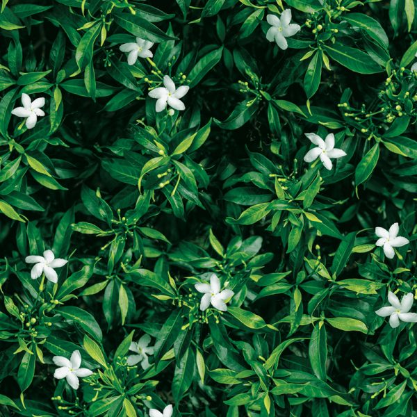 Papel Tapiz Natural COD 88638-1